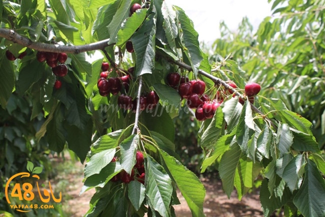 re7la a7ban (64).JPG